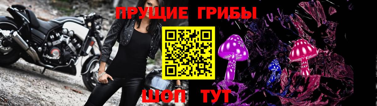 Галлюциногенные грибы GOLDEN TEACHER Гулькевичи